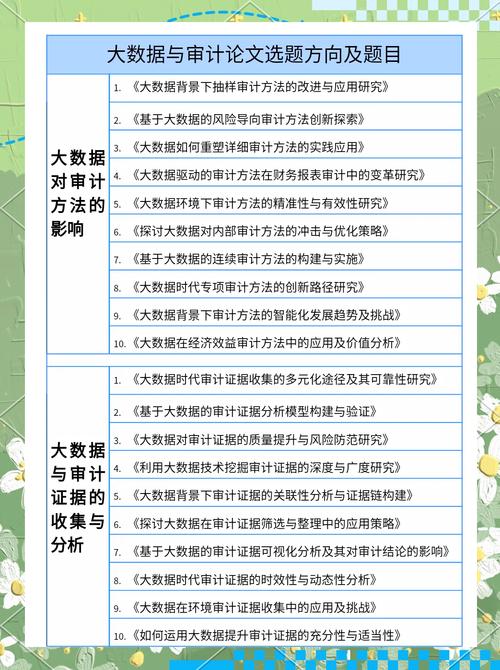 虚拟支付系统数据审计的重要性与实践分析