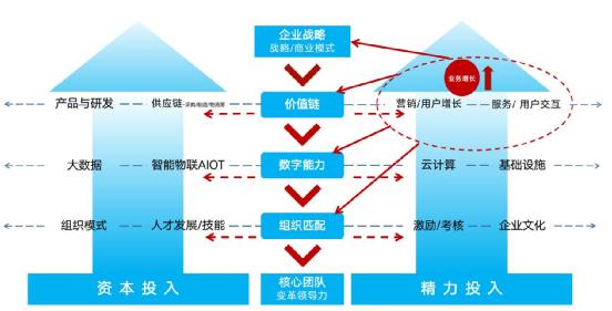 对接平台,数字化转型中的关键纽带与价值创造者