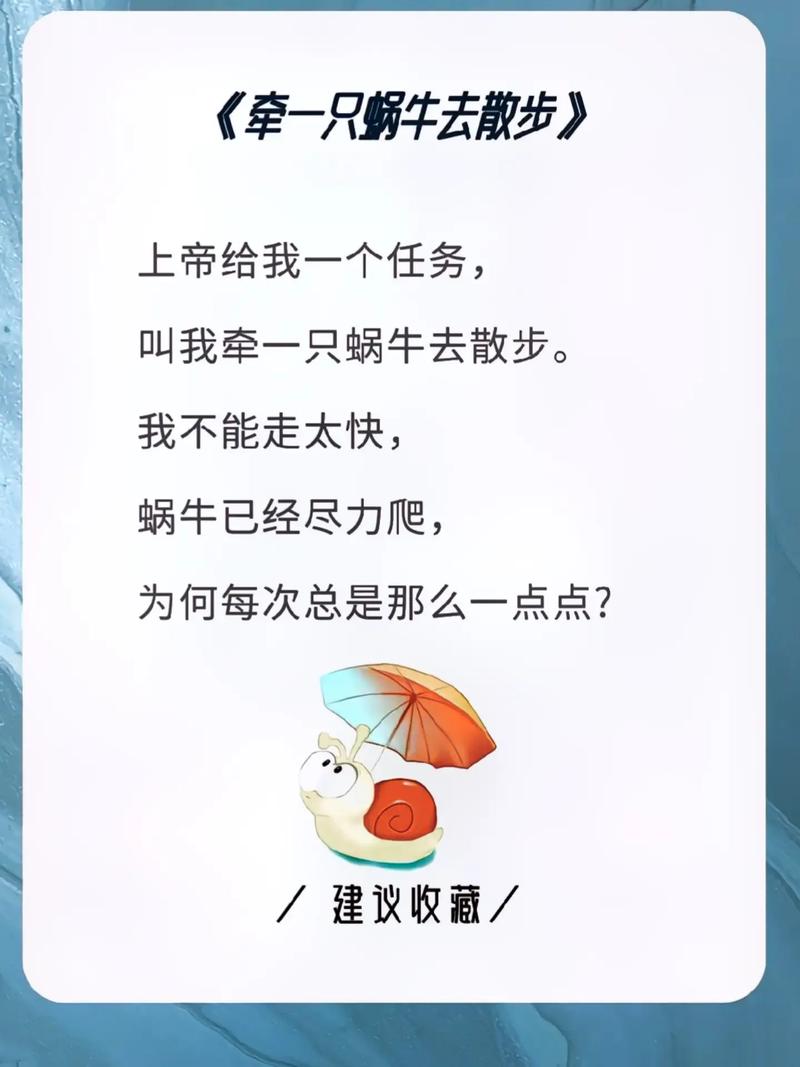 从蜗牛到闪电,我的自动发卡网优化血泪史与实战指南