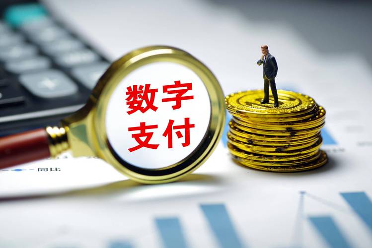 智能支付时代,发卡网平台支付结算服务的革新与思考