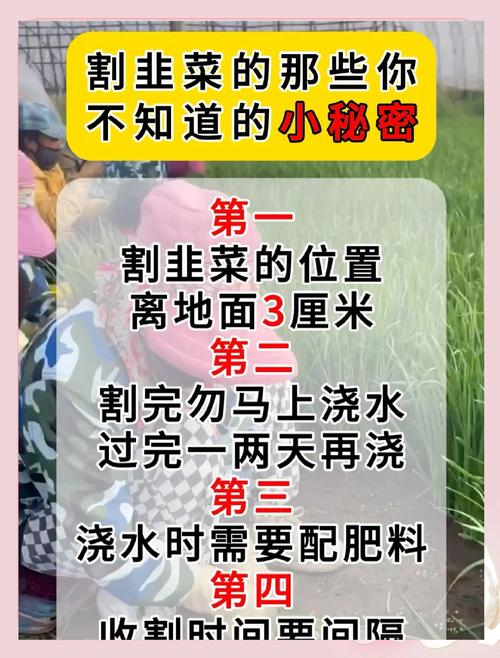 提现手续费背后的秘密，三方支付平台如何割韭菜？