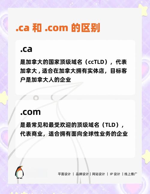 独立域名,发卡平台的隐形竞争力还是营销噱头?