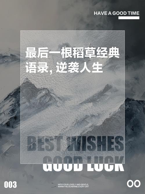 发卡网商品生命周期管理，是救命稻草，还是压垮小商家的最后一根稻草？