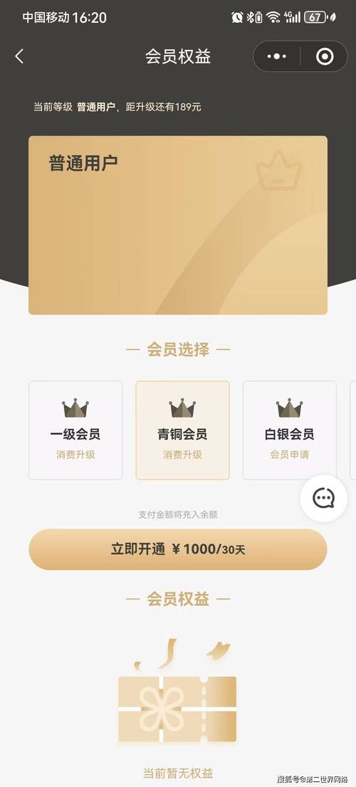 从青铜到王者,揭秘发卡网寄售平台会员等级体系的进阶之路
