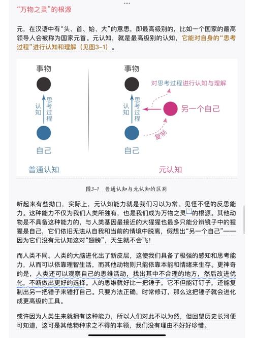 卡密库存预警系统,颠覆传统认知的反思与冷思考