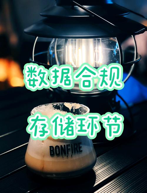 三方支付平台数据合规存储,风险、挑战与最佳实践指南