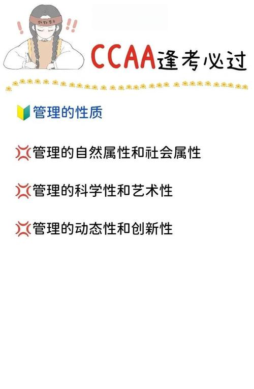 自动发卡网商户接口权限管理，安全与效率的平衡艺术