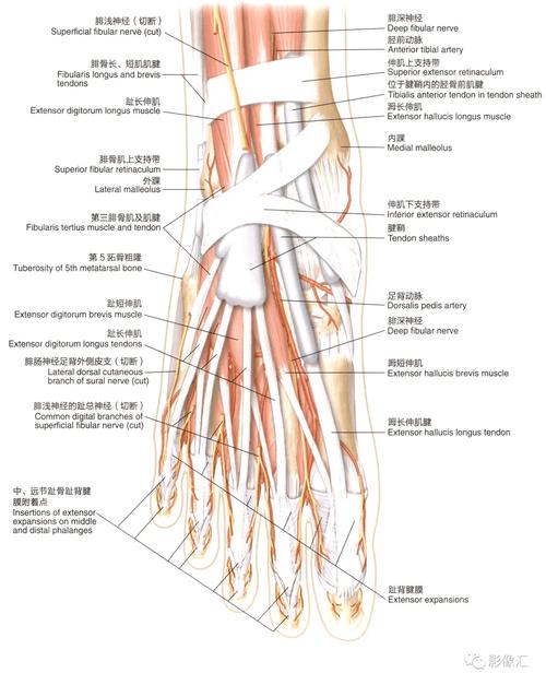 服务器的心跳，一个自动发卡网背后的血管与神经
