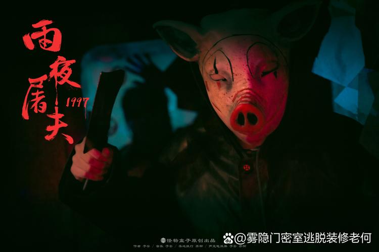 卡密的逃亡日记,一个发卡网系统背后的数字侦探故事